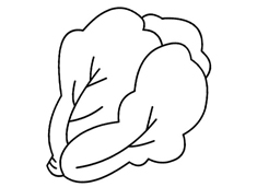 ���εĴ�ײ˺��P���DƬ