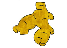 �������P���DƬ����ɫ