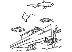 ���׳�������ĺ��P���DƬ