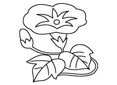 牽牛花簡(jiǎn)筆畫圖片