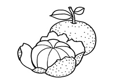 ���_Ƥ�����Ӻ�(ji��n)�P���DƬ