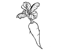 ���}�����P���DƬ