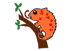 ��֦�ϵ�׃ɫ�����P���DƬ