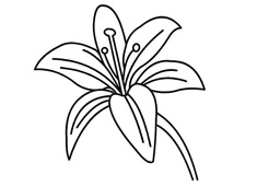 ����ٺϻ����P���DƬ