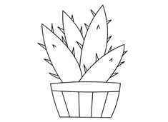 ֲ���J�C���P���DƬ