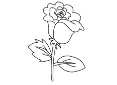 ���κÿ���õ�廨���P���DƬ