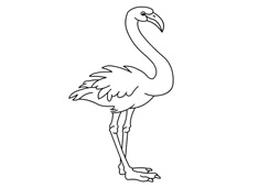 �����B���P���DƬ