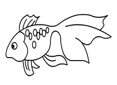 һֻƯ���Ľ��~���P���DƬ