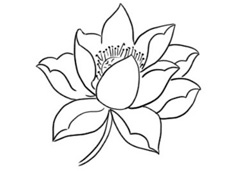 ��(ji��n)���ֺÿ��ĺɻ���(ji��n)�P���DƬ