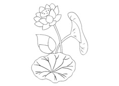 �ɻ���(ji��n)�P���DƬ����ɫ