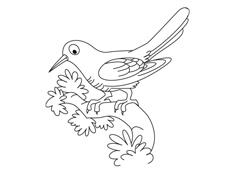 һֻվ�ژ�֦�ϵĲ����B��(ji��n)�P���DƬ