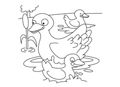 һֻ�����ӎ���ֻС���Ӻ�����Ӿ�ĺ�(ji��n)�P���DƬ