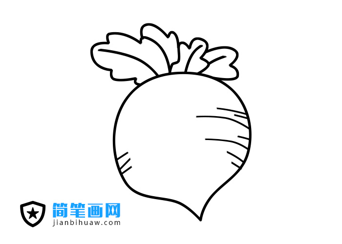 蘿卜簡筆畫圖片