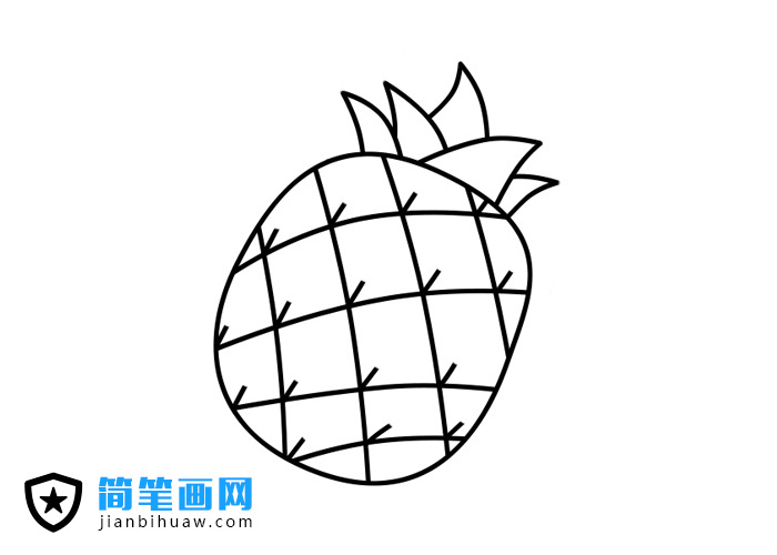 ���}���P���Į�������ɫ