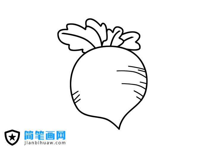 簡單生動的蘿卜簡筆畫圖片及步驟