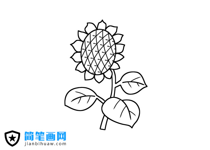 ��ͯ���P�����տ��DƬ