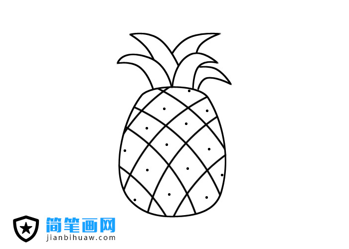 菠蘿簡筆畫圖片