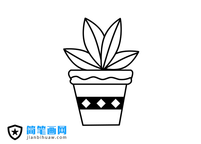 植物盆景簡筆畫的法畫步驟和上色圖片