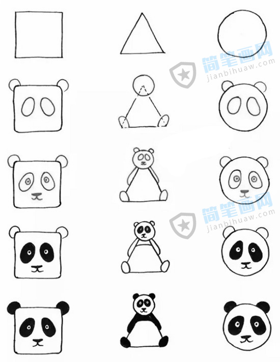 ����؈���P��һֻ��؈���N����