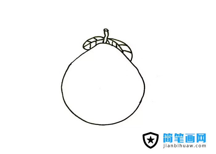 柚子簡筆畫上色圖片