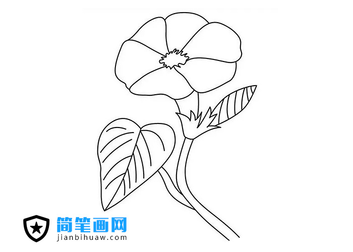 ��ţ�����P������ɫ�DƬ