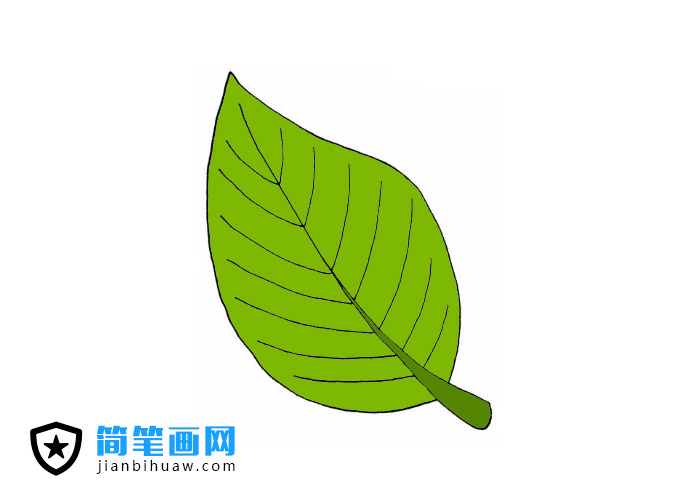 綠葉簡筆畫圖片和上色