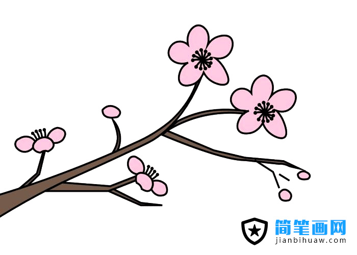 梅花枝葉簡筆畫圖片含上色