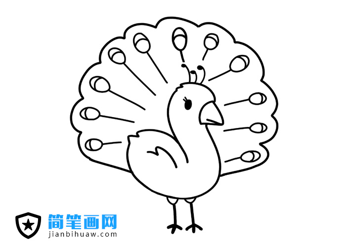 孔雀開屏簡筆畫圖片