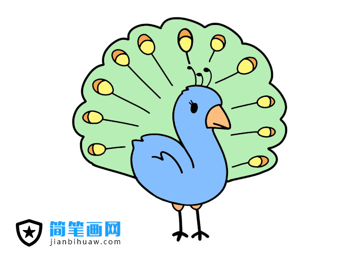 孔雀開屏簡筆畫圖片