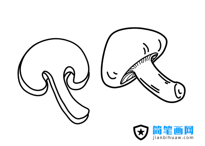 ��Ƭ��Ģ����(ji��n)�P���DƬ