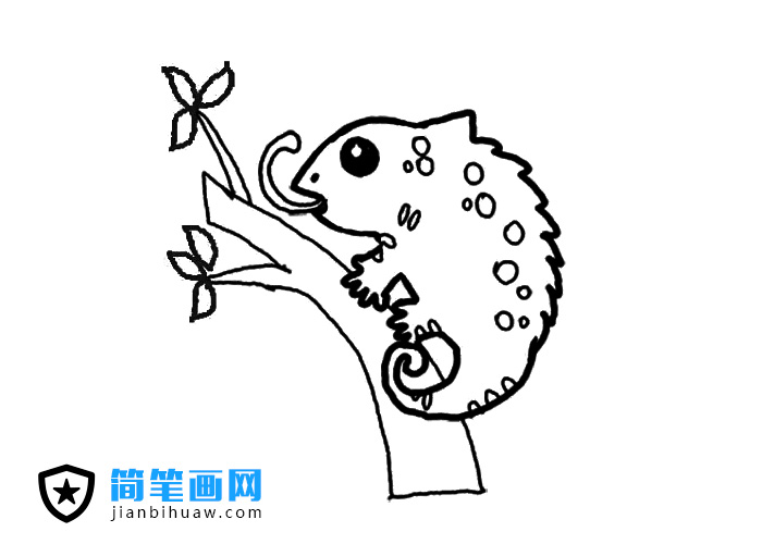 變色龍簡筆畫圖片