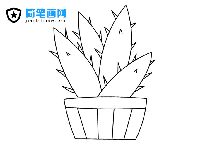 ֲ���J�C���P���DƬ