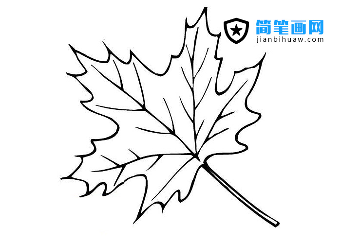 梧桐樹葉簡筆畫圖片