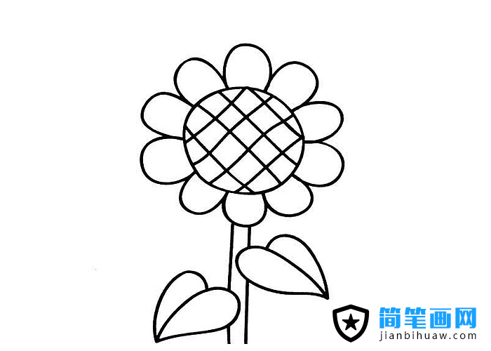 簡單兒童簡筆畫向日葵圖片