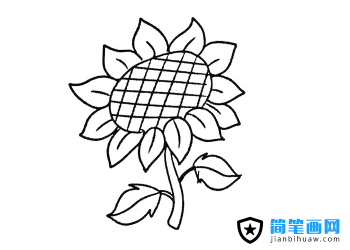 �ÿ������տ����P���DƬ