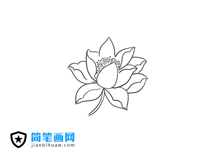 �����ֺÿ��ĺɻ����P���DƬ