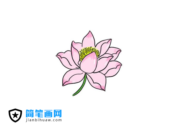 �����ֺÿ��ĺɻ����P���DƬ