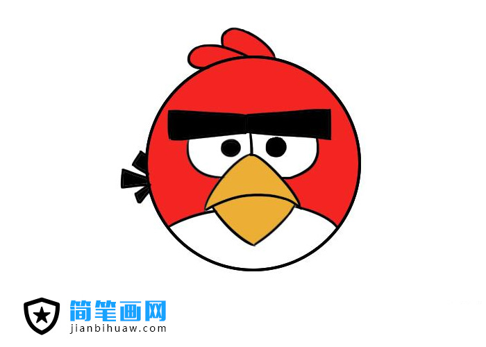 ��ŭ��С�B(ni��o)��(ji��n)�P��(hu��)�DƬ����ɫ