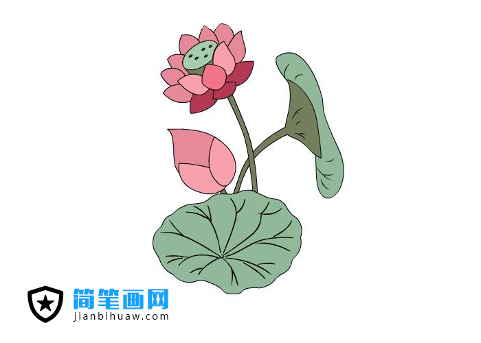 �ɻ����P���DƬ����ɫ