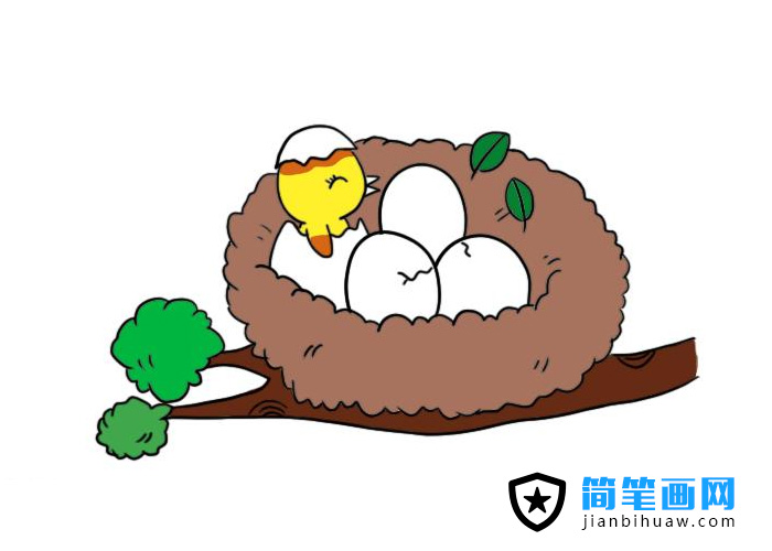 �B�C���P���DƬ����ɫ