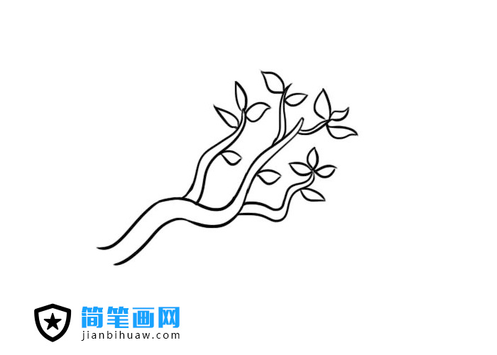 簡單好畫的樹枝簡筆畫圖片含上色