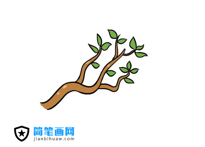 簡單好畫的樹枝簡筆畫圖片含上色