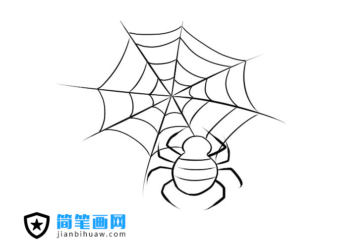 簡單好畫的蜘蛛網蜘蛛簡筆畫圖片