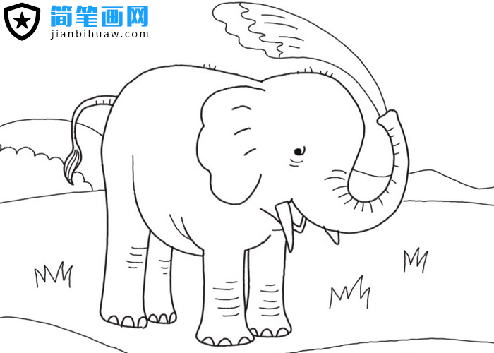 �����ñ�����ˮϴ��ĺ�(ji��n)�P��